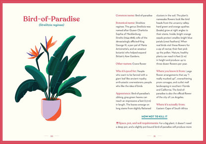Green Dumb Guide to Houseplants