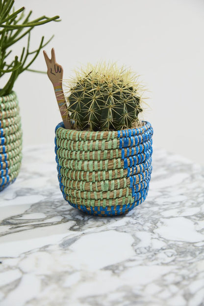 Aqua Basket
