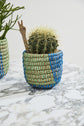 Aqua Basket