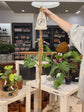 LITF Macrame Hanger