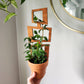Wood Indoor Plant Trellis (Rectangle)