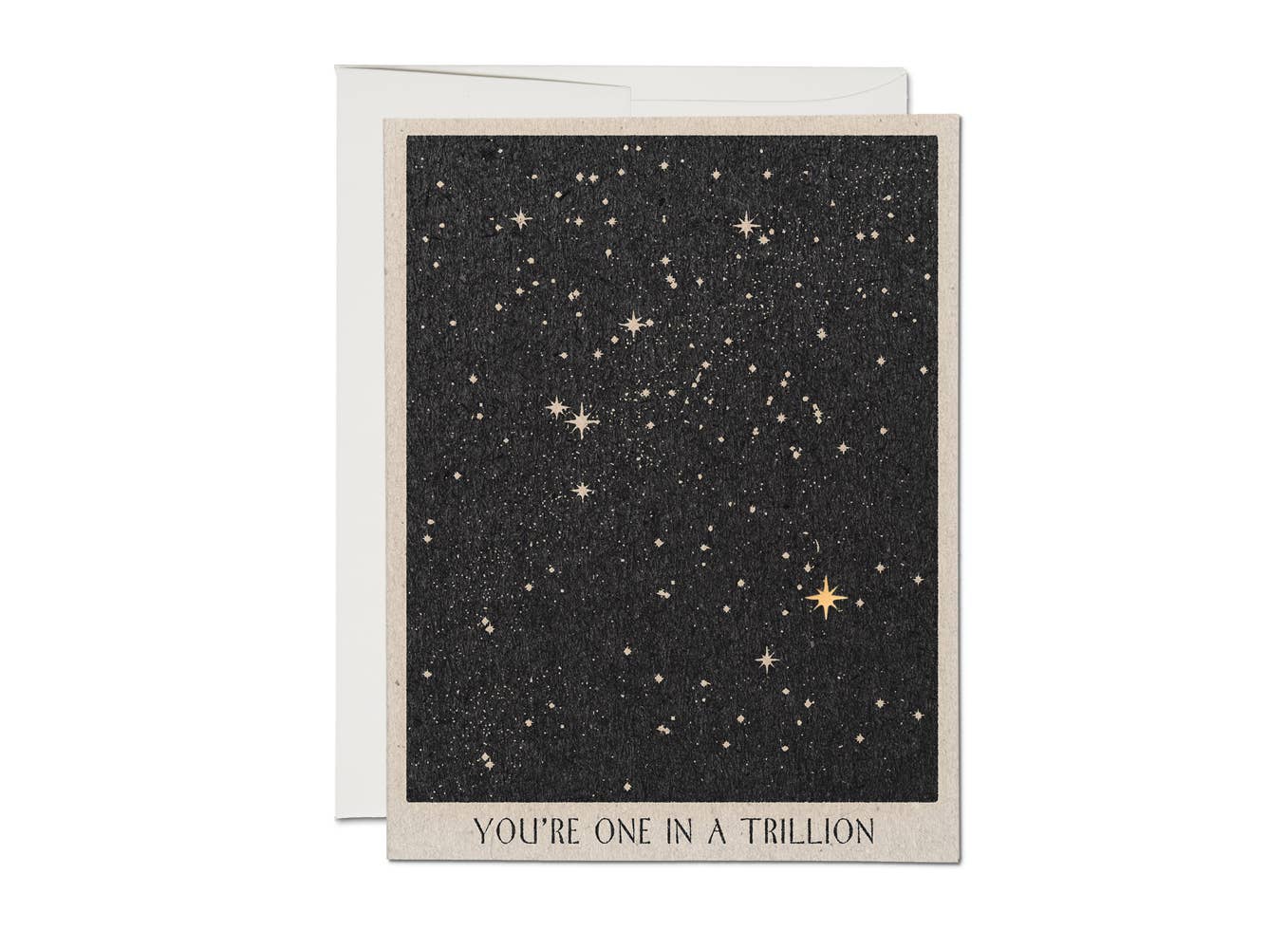 One in a Trillion friendship