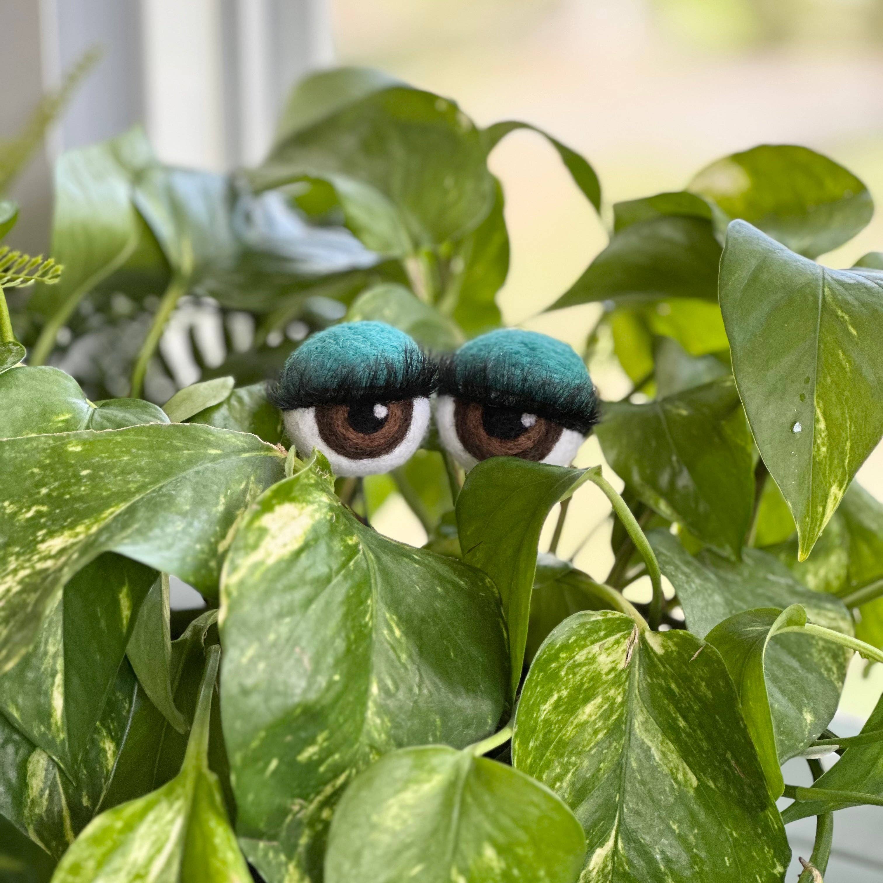 Planter Eyeballs with Lashes