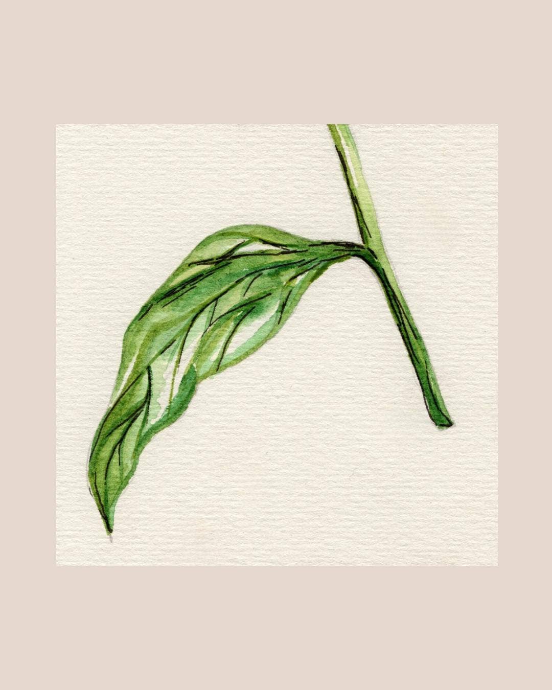 Wildflower Watercolor Print Botanical Wall Art