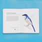 The Field Guide to Dumb Birds of the Whole Stupid World