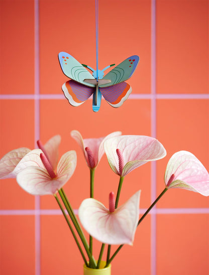 Dotted butterfly