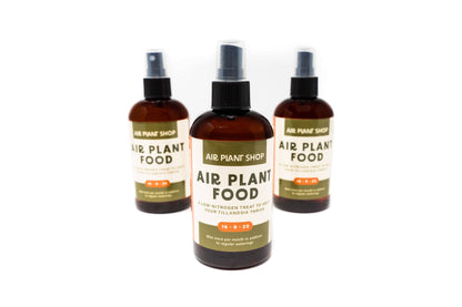 Air Plant Fertilizer