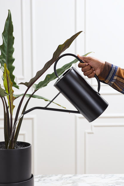 Fletch Watering Can