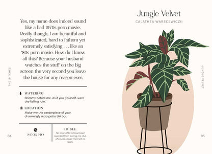 Houseplants and Their Fucked-Up Thoughts