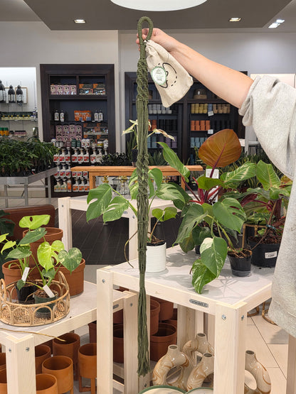 LITF Macrame Hanger