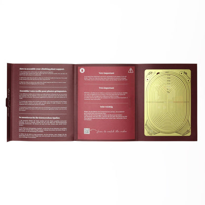 Gold Brass Chain - Plant Support for climbing plants