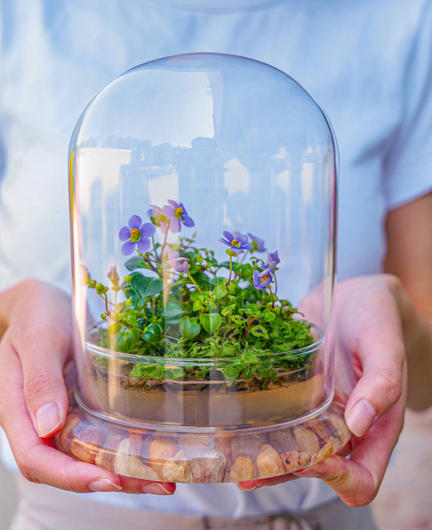 Large Glass Dome