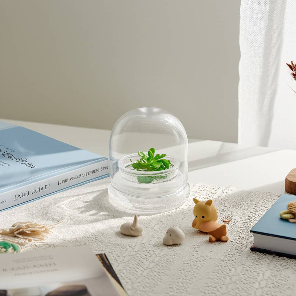 Mini Glass Dome