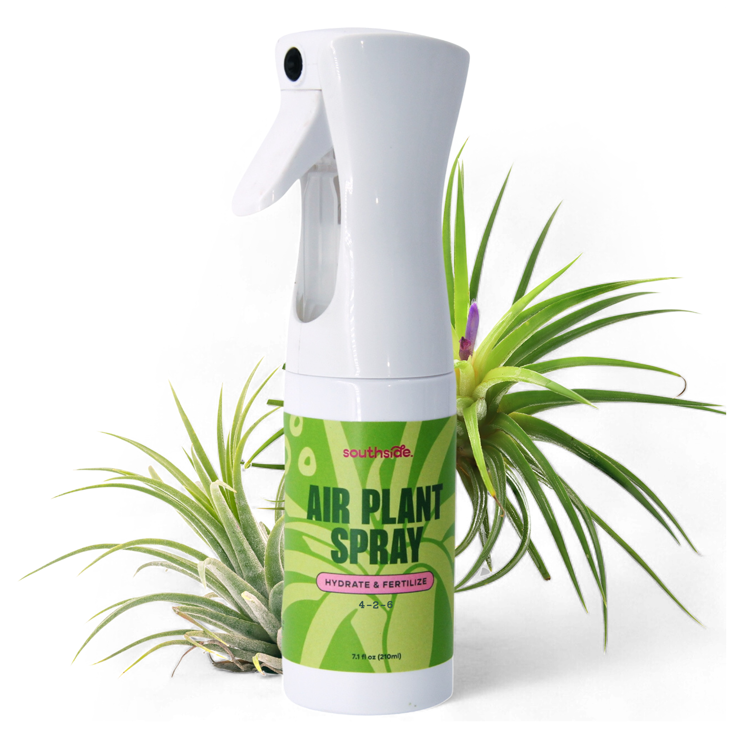 Air Plant Fertilizer: Soak