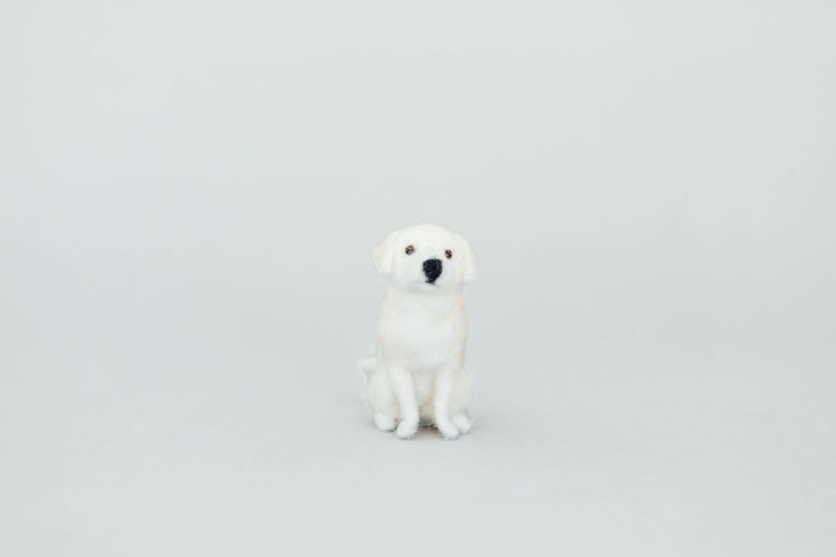 Labrador Retriever Needle-Felting Kit