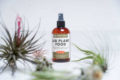 Air Plant Fertilizer