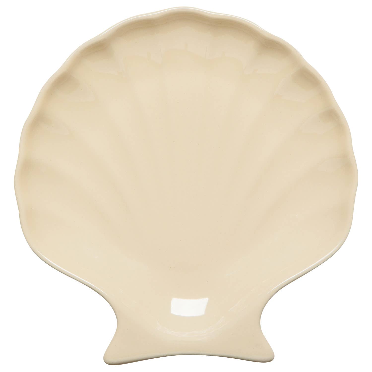 Assorted Seaside Shells Plate