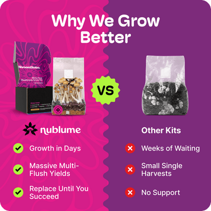 All-In-One Mushroom Grow Kit