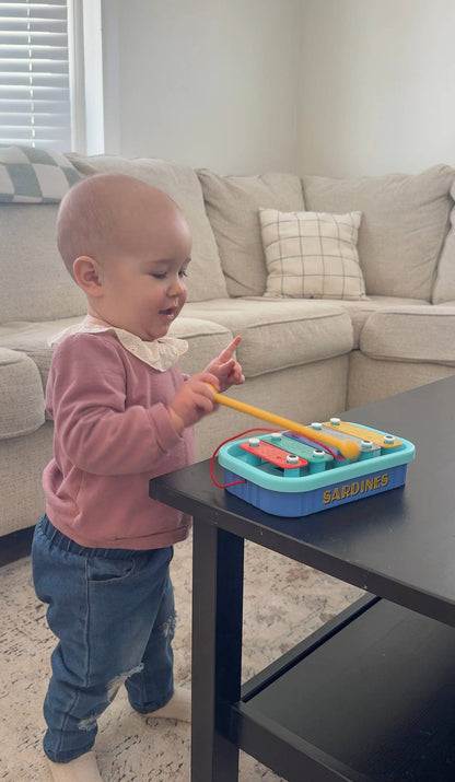 Xylophone Music School