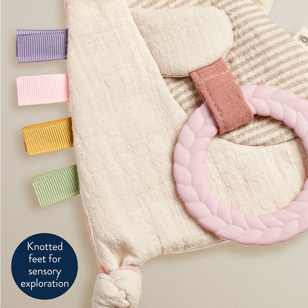 Crinkle™ Sensory Toy