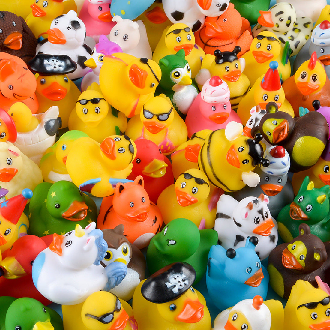 Assorted Rubber Ducky