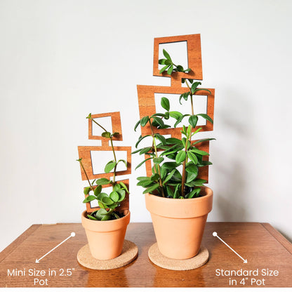 Wood Indoor Plant Trellis (Rectangle)