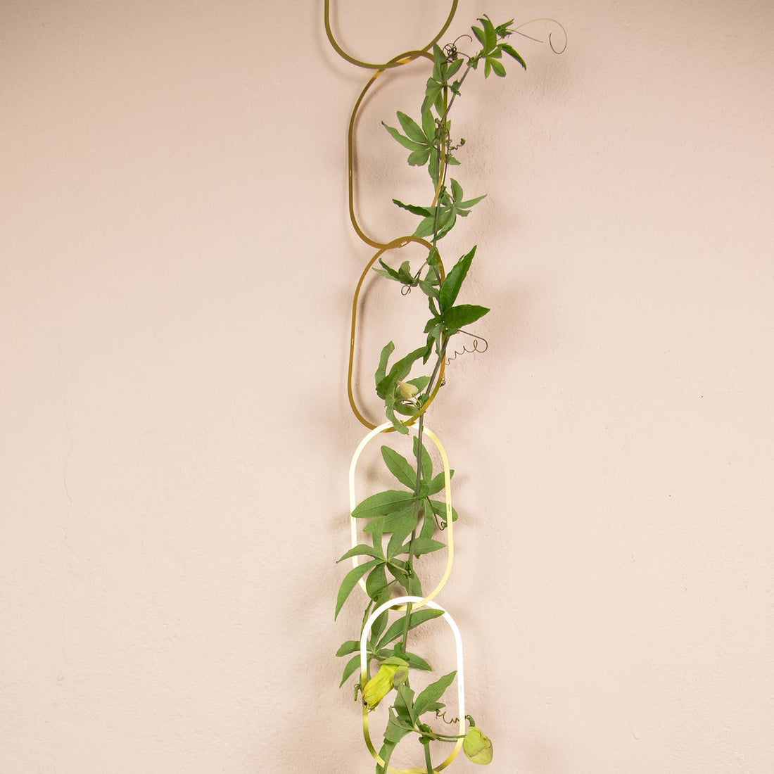 Gold Brass Chain - Plant Support for climbing plants
