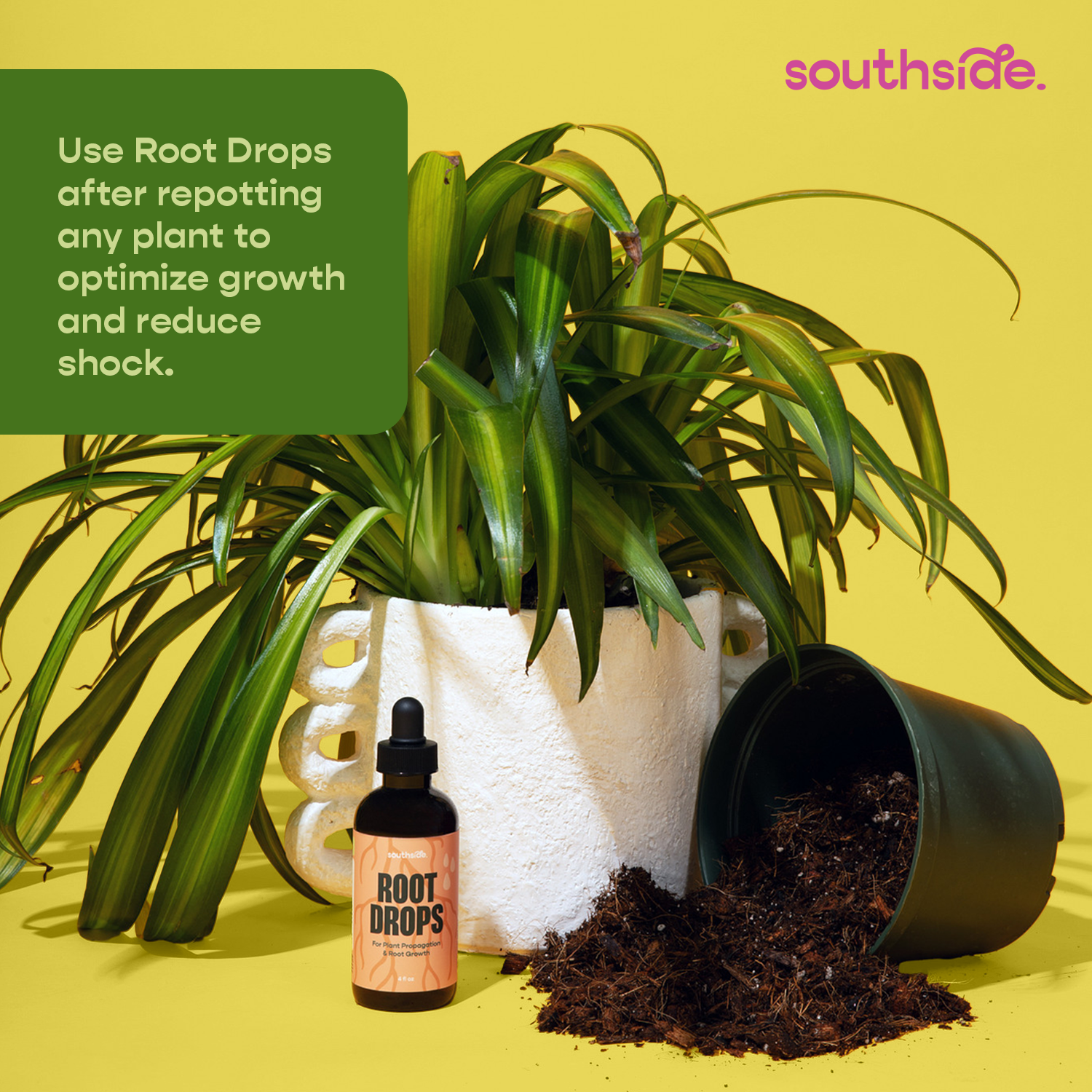 Root Drops
