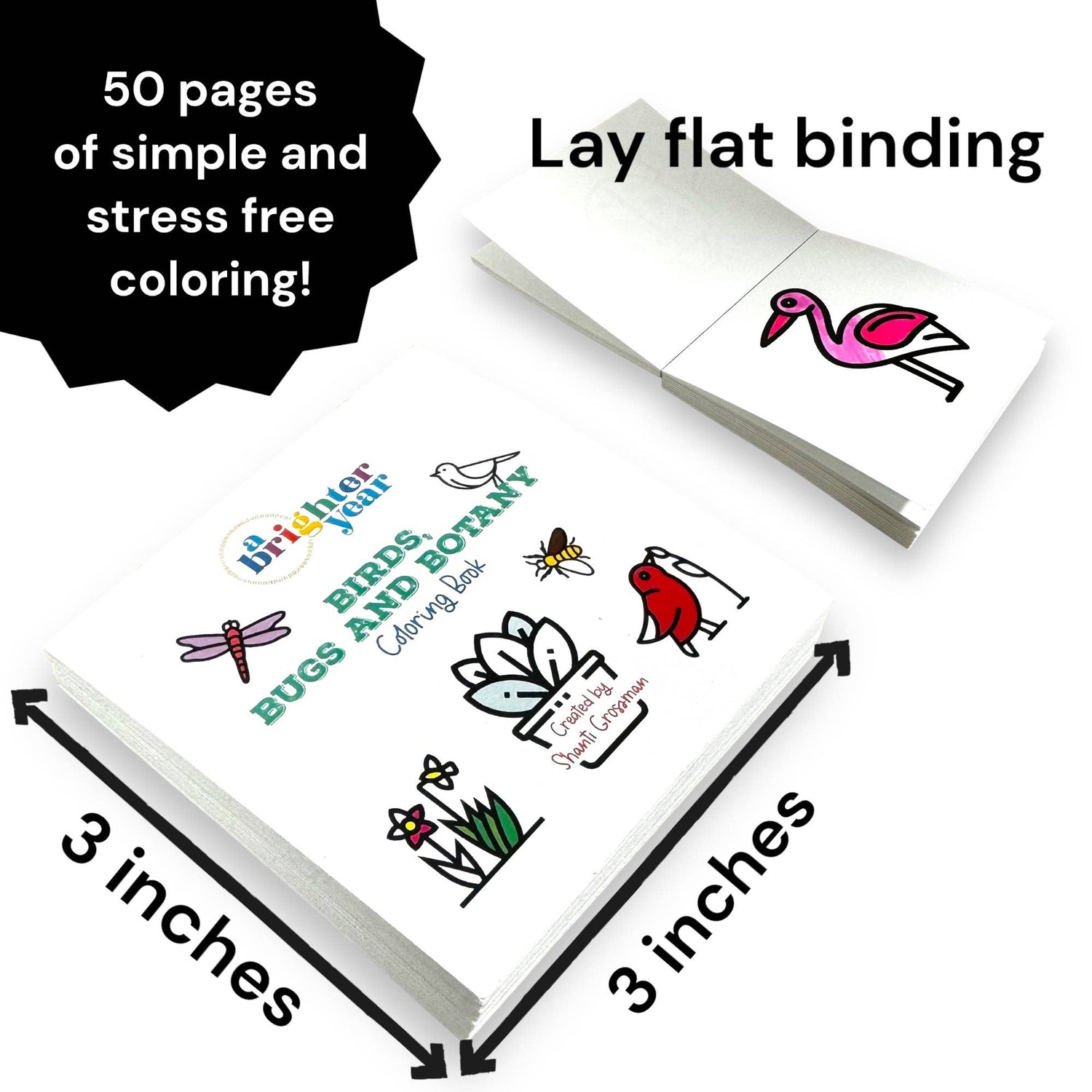 Birds Bugs and Botany Coloring Book