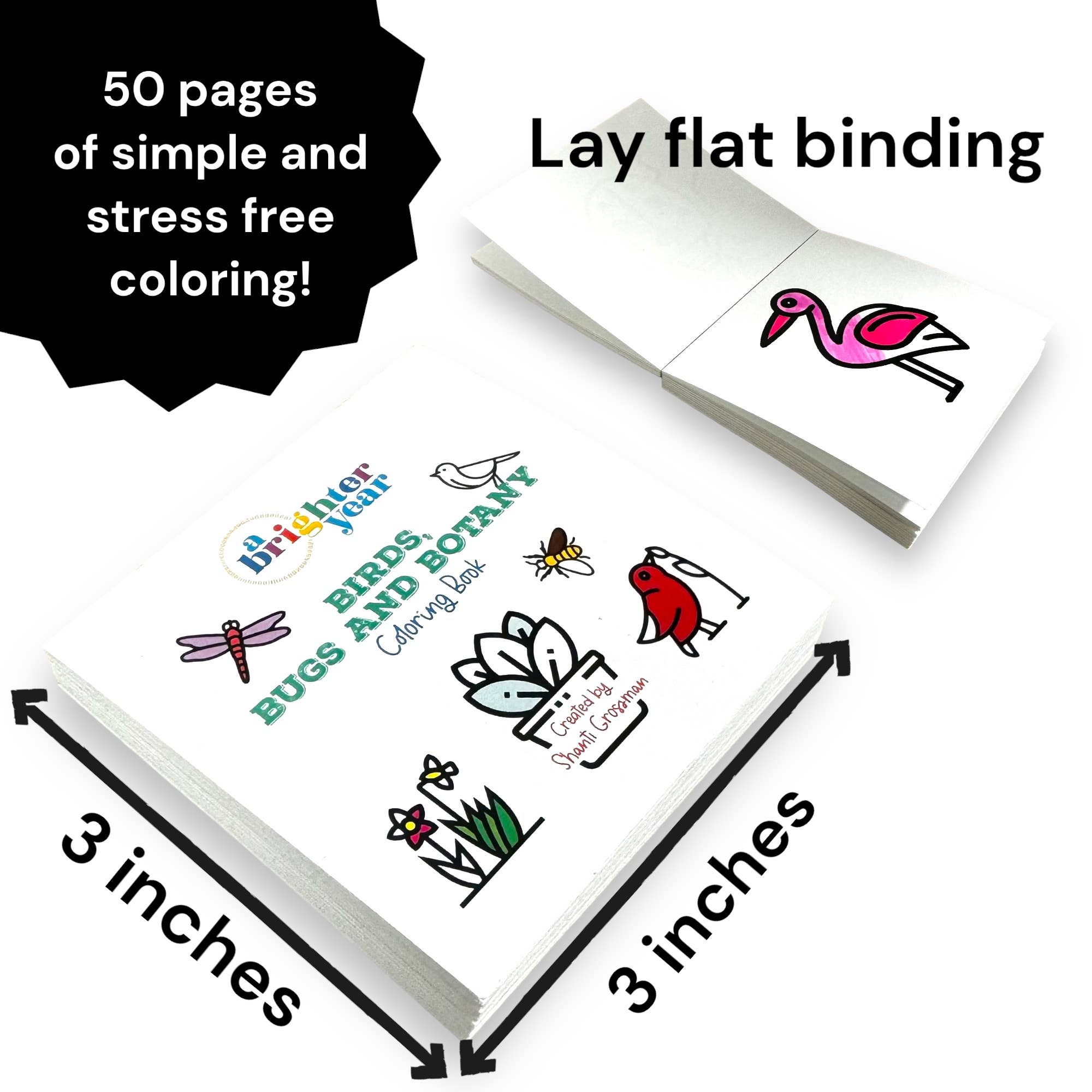 Birds Bugs and Botany Coloring Book
