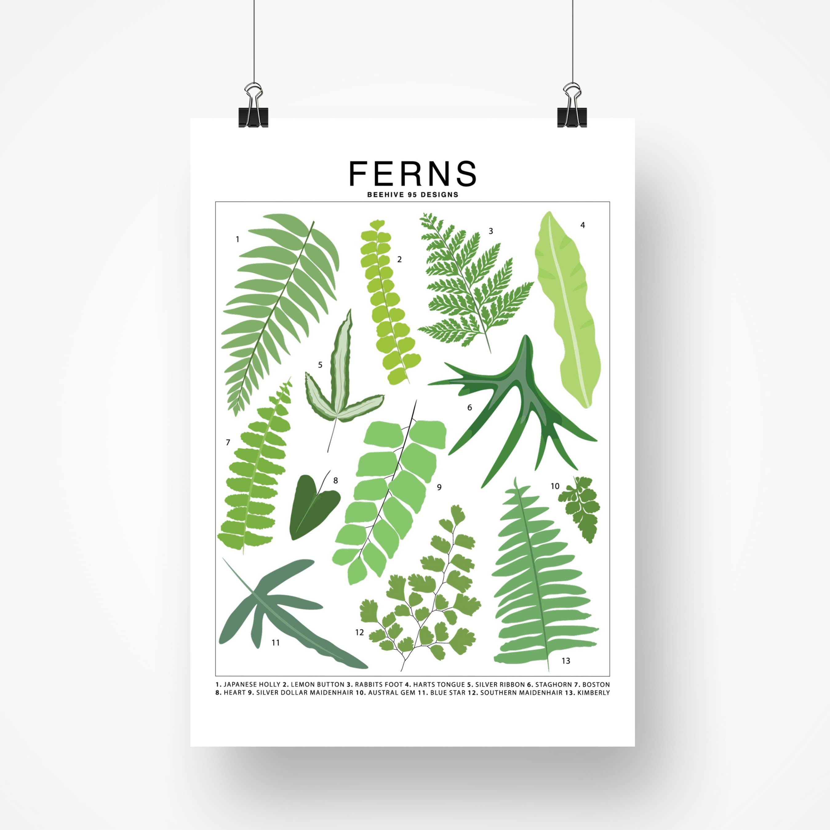 Species ID Chart - Botanical Houseplant Art Print