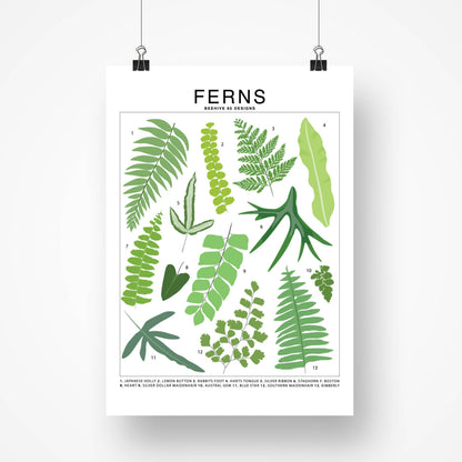 Species ID Chart - Botanical Houseplant Art Print