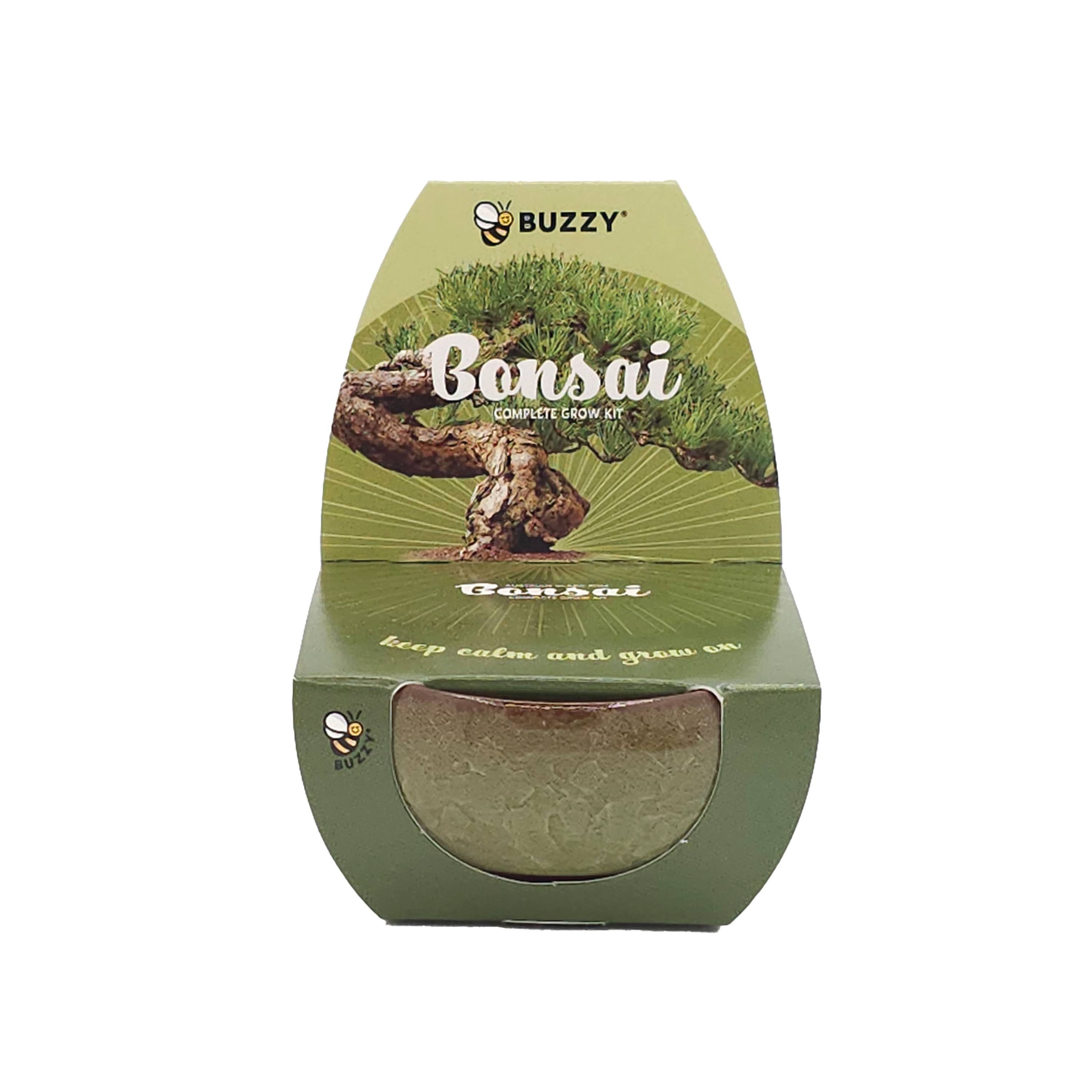 Bonsai Tree Grow Kit Assorted