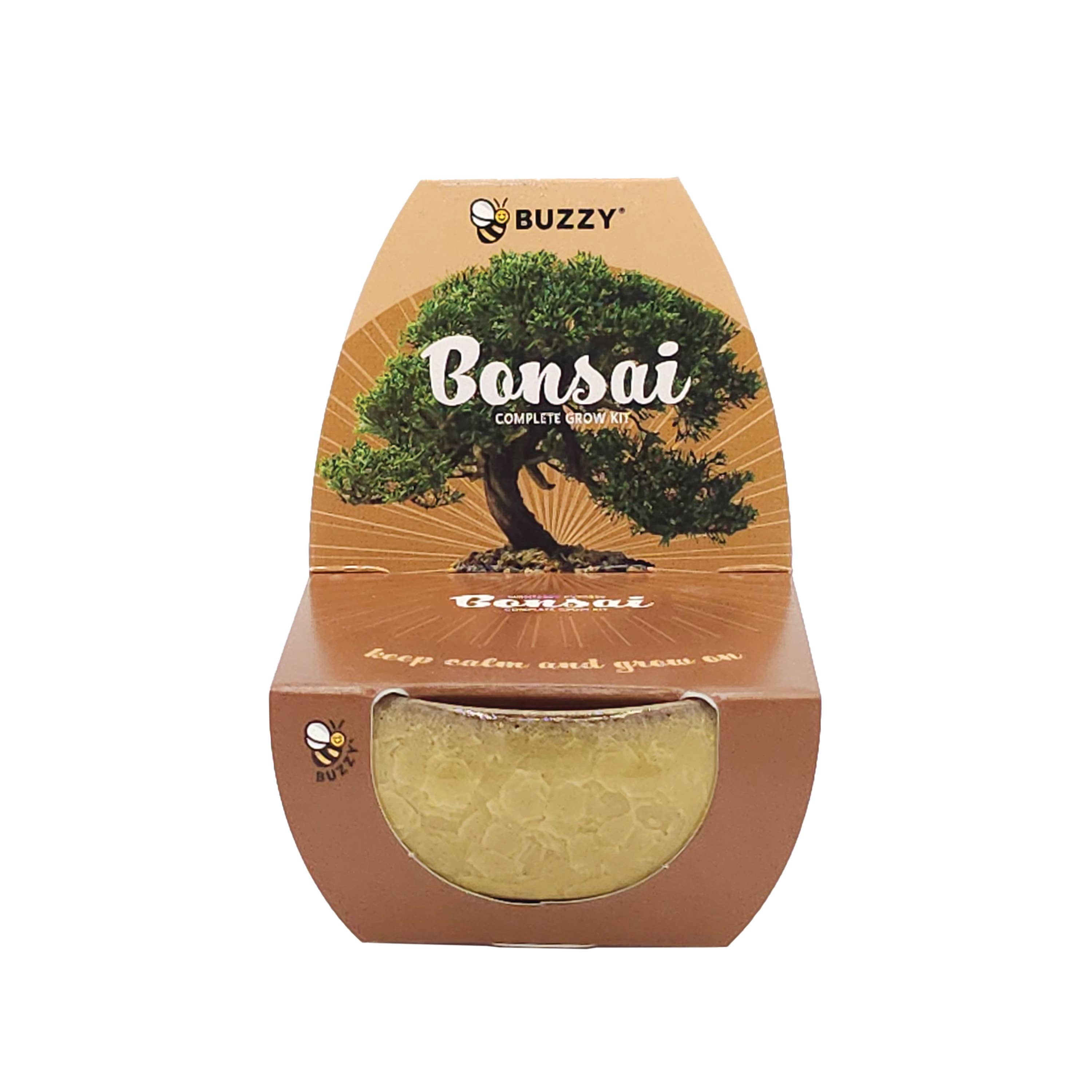 Bonsai Tree Grow Kit Assorted