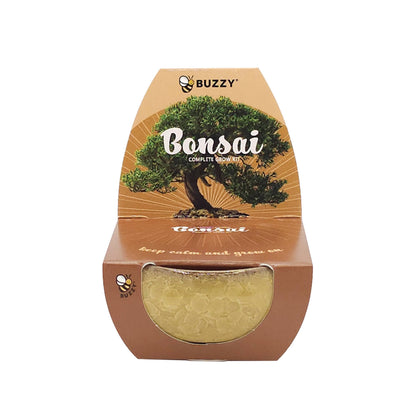 Bonsai Tree Grow Kit Assorted