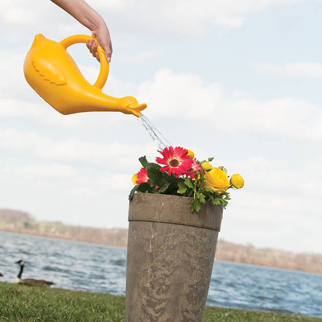 Lucky the Duck Plastic Watering Can