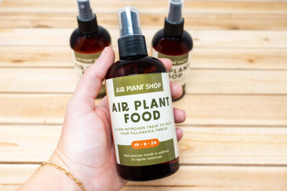 Air Plant Fertilizer