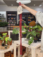 LITF Macrame Hanger