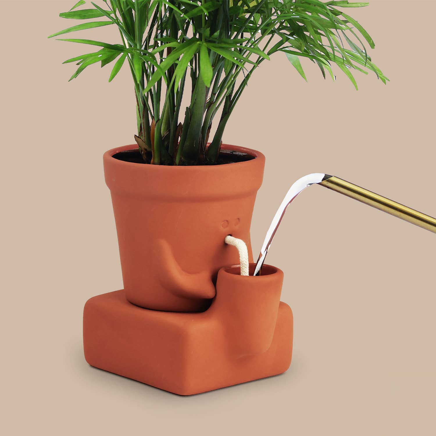 The Thirsty Planter