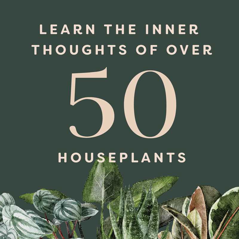 house plants and their fucked up thoughts Houseplants and Their Fucked-Up Thoughts
