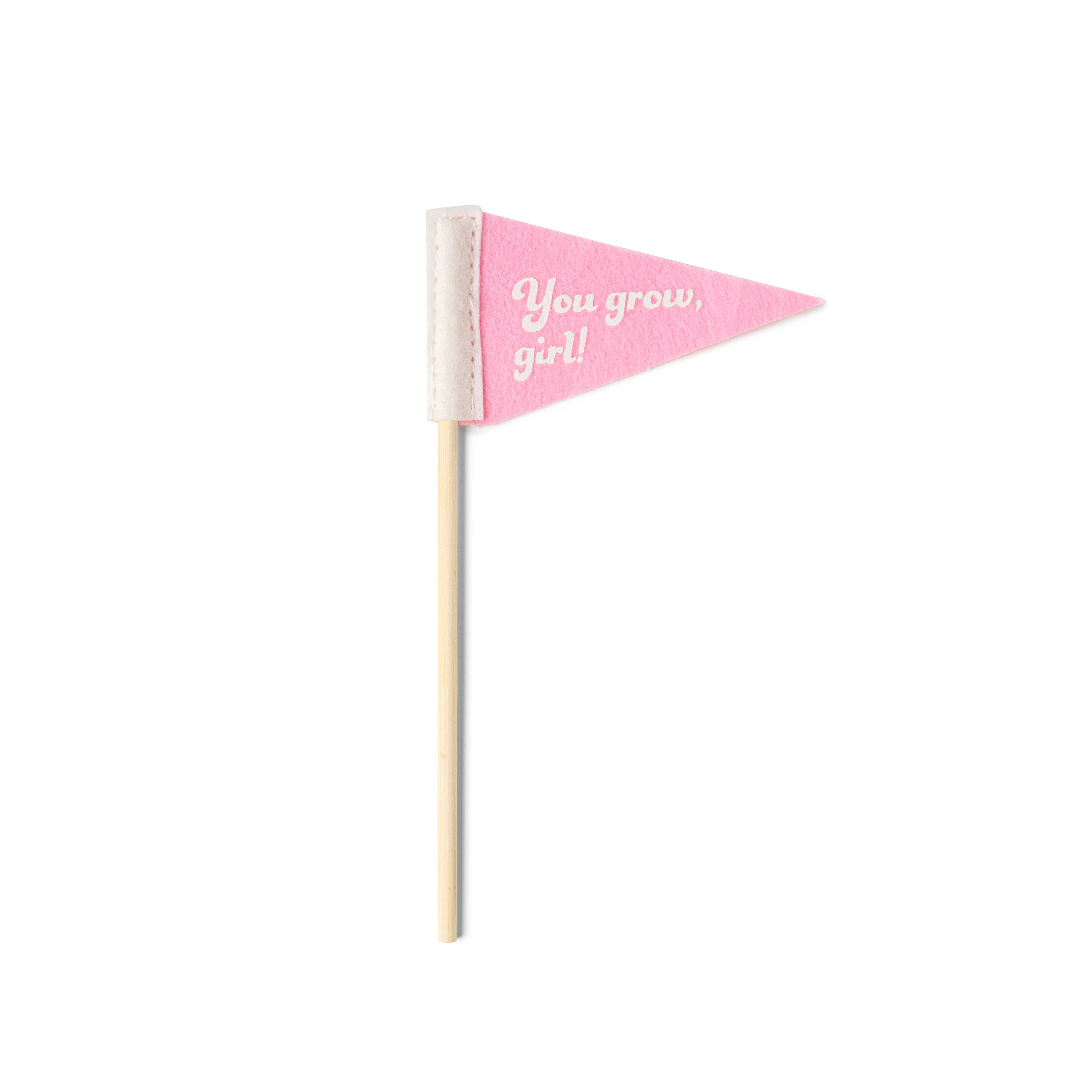 DM Merchandising Plant Pennants - Thumbnail 2
