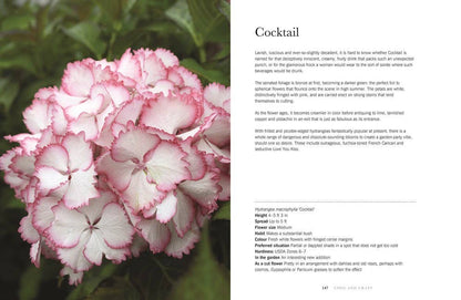 Hydrangeas: Beautiful Varieties for Home &amp; Garden