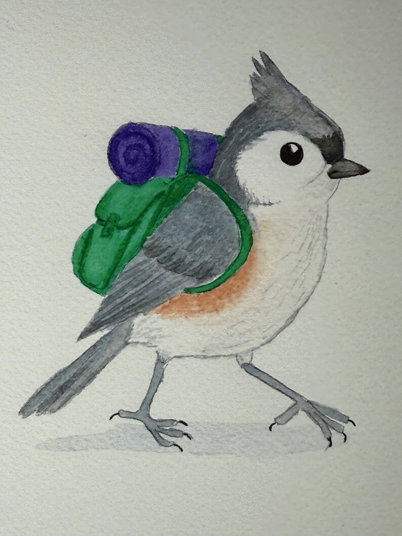 Backpacking Tufted Titmouse Art Print | Bird Hiking Illustration