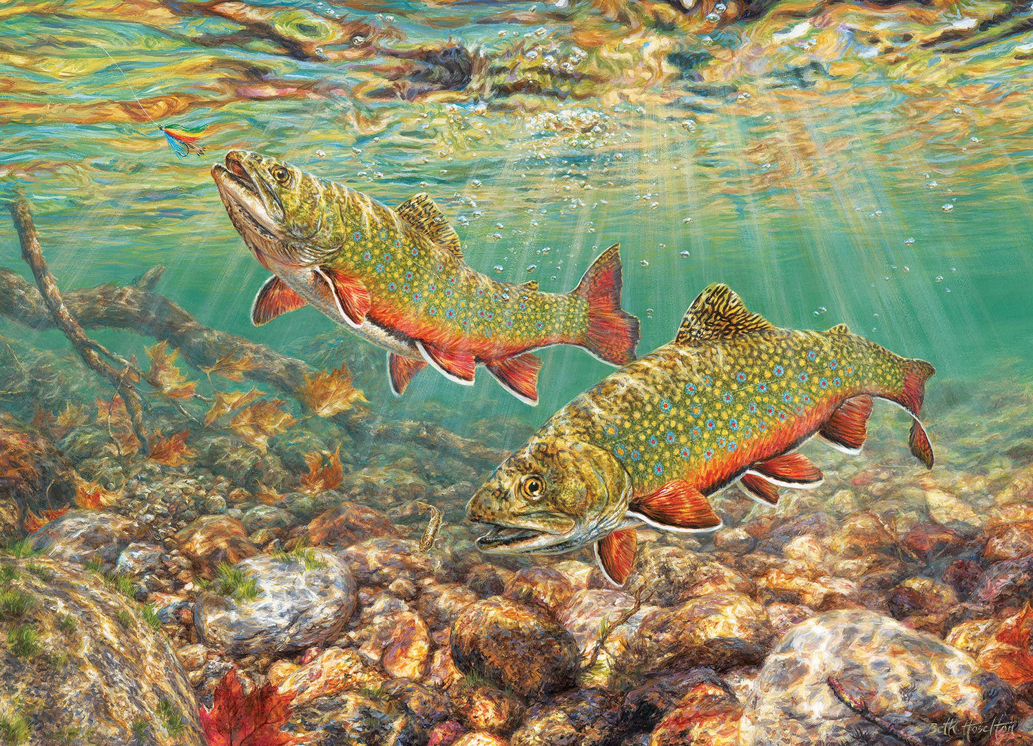 Brook Trout puzzle