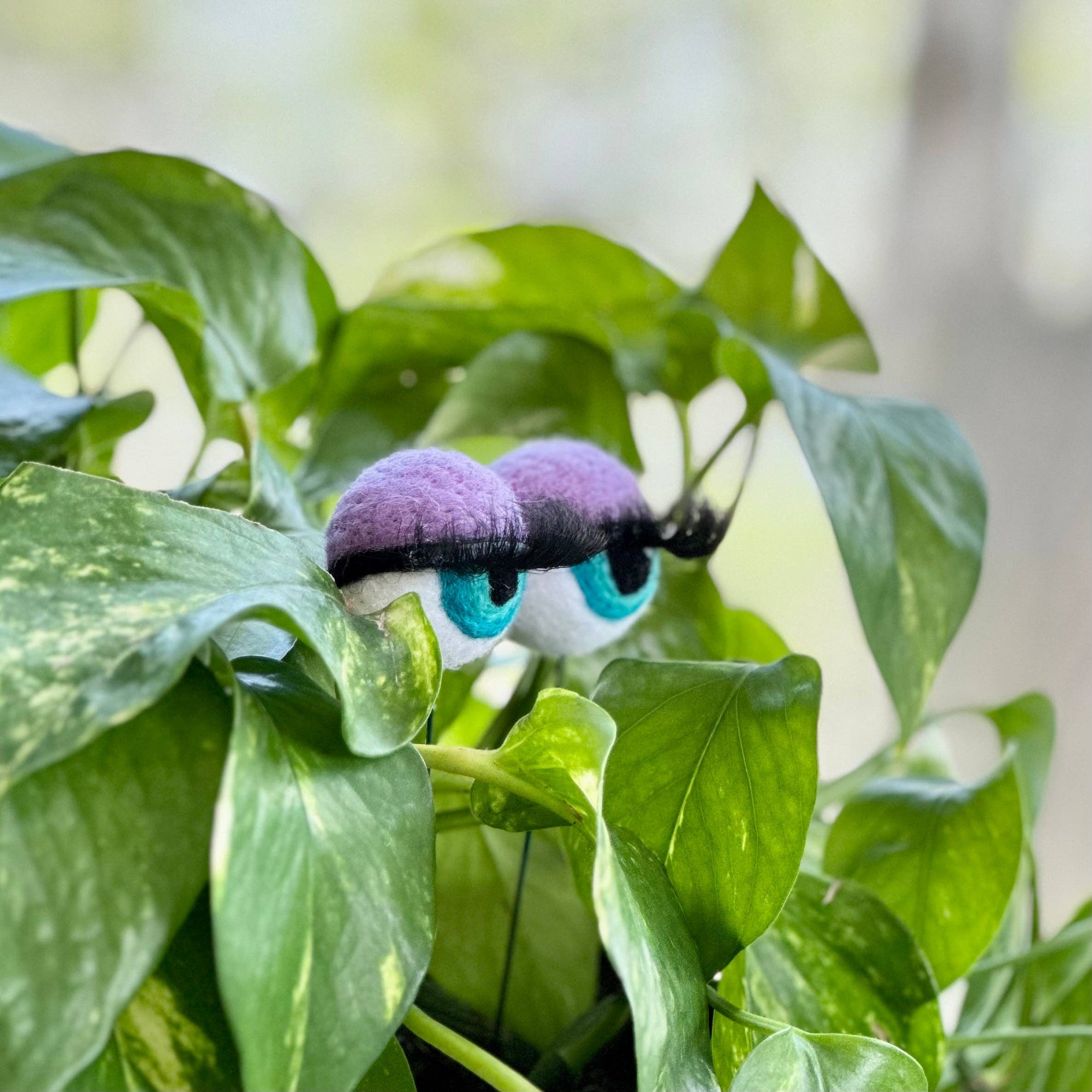 Planter Eyeballs with Lashes