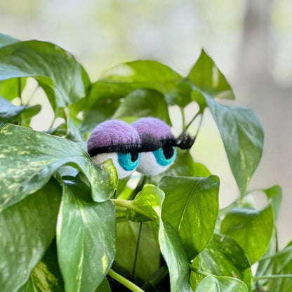 Planter Eyeballs with Lashes