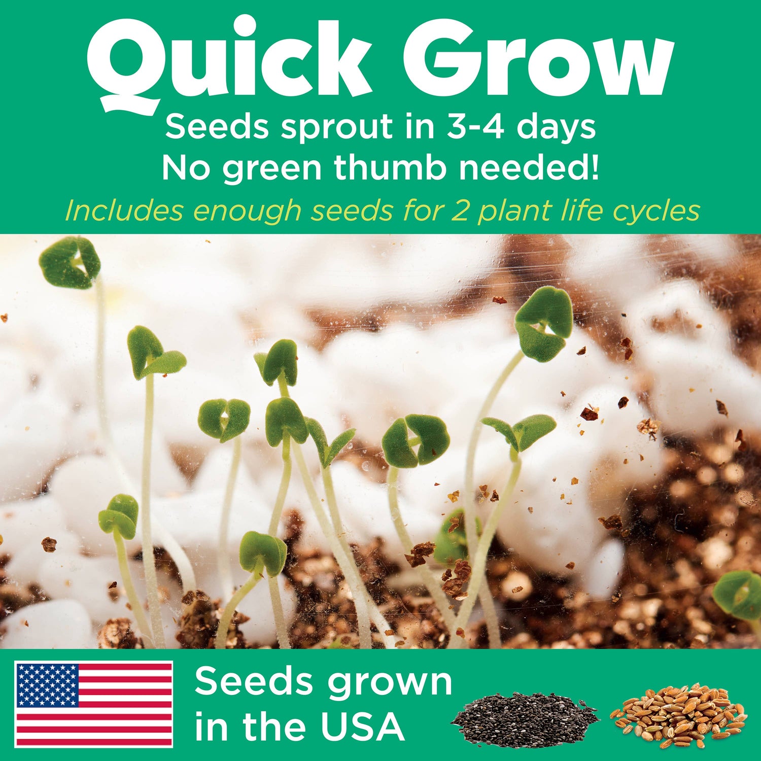 Kids Grow N&