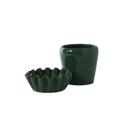 Lorelai Pot with Saucer