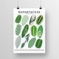 Species ID Chart - Botanical Houseplant Art Print