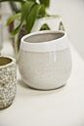 Choice Pot